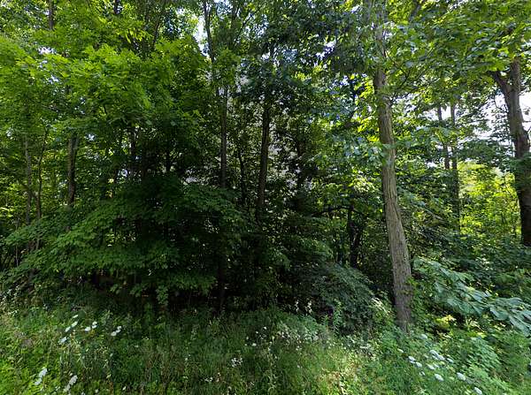 19.1 Acres of Recreational Land for Sale in Warfordsburg, Pennsylvania