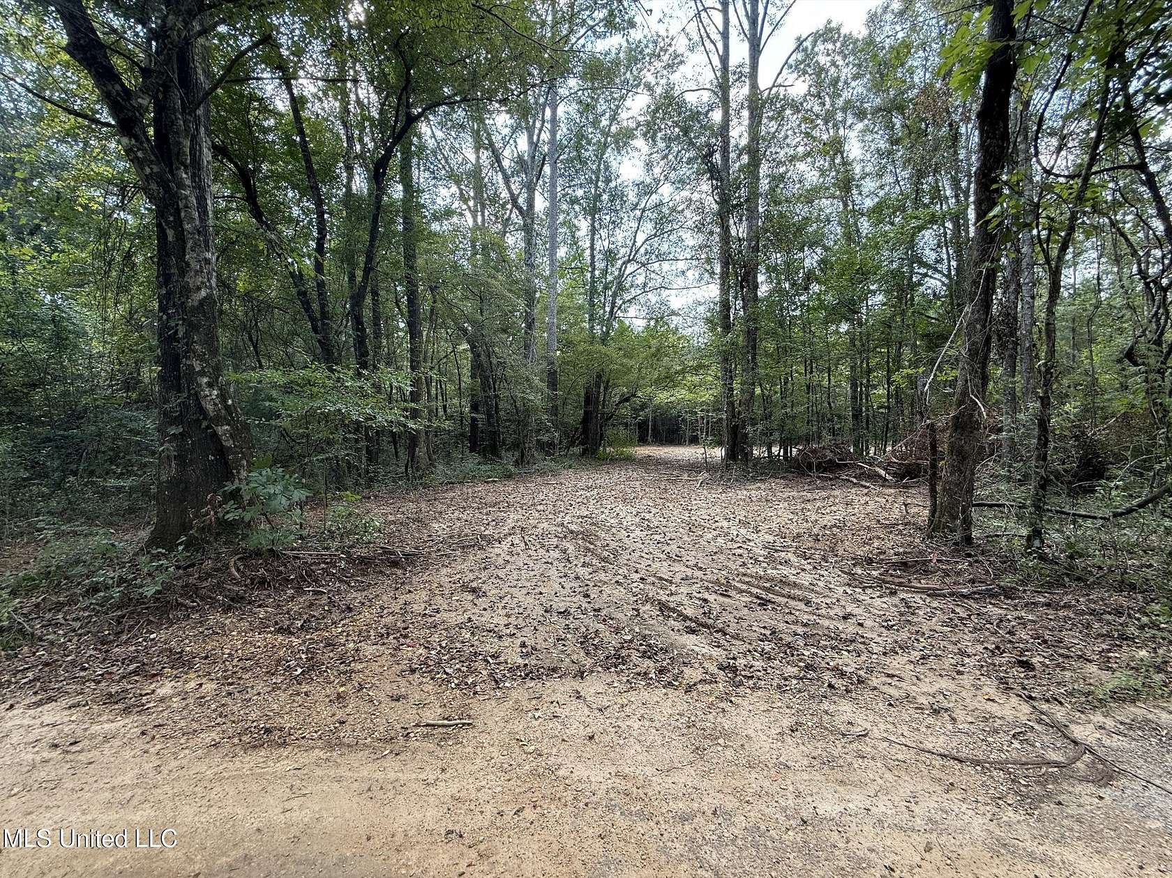 20 Acres of Land for Sale in Smithdale, Mississippi
