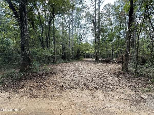 20 Acres of Land for Sale in Smithdale, Mississippi