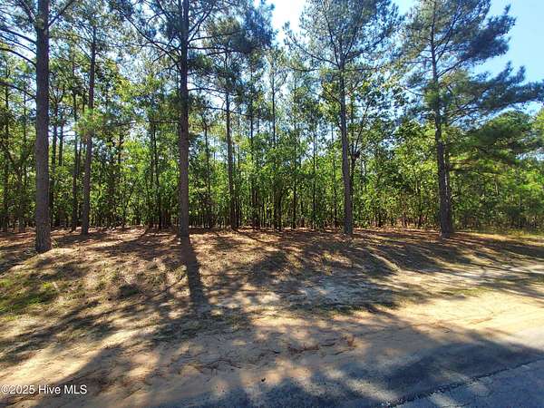 0.46 Acres of Residential Land for Sale in Wagram, North Carolina