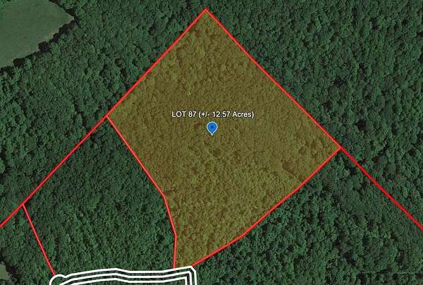 12.6 Acres of Land for Sale in Bragg, West Virginia
