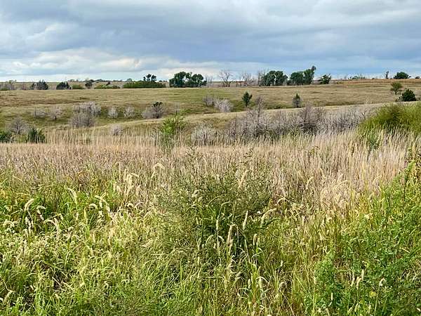 265 Acres of Agricultural Land for Auction in Burr Oak, Kansas