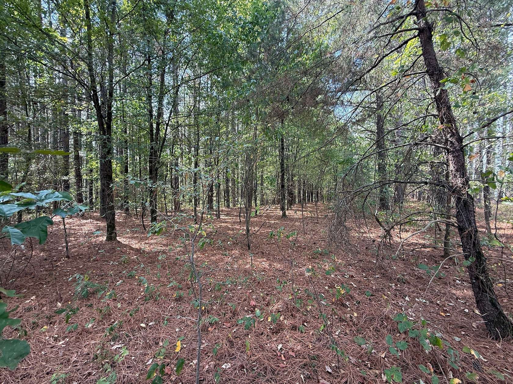 16.6 Acres of Land for Sale in Ethridge, Tennessee