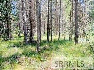 0.25 Acres of Residential Land for Sale in Island Park, Idaho