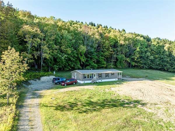 3 Acres of Residential Land with Home for Sale in Davenport, New York