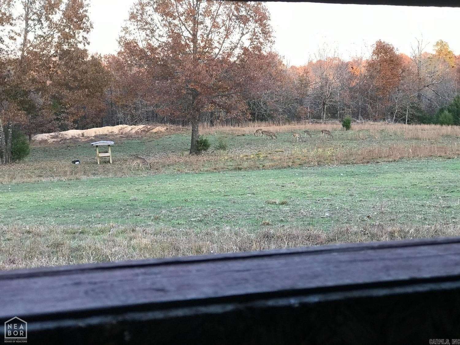 71 Acres of Recreational & Residential Land for Sale in Salem, Arkansas