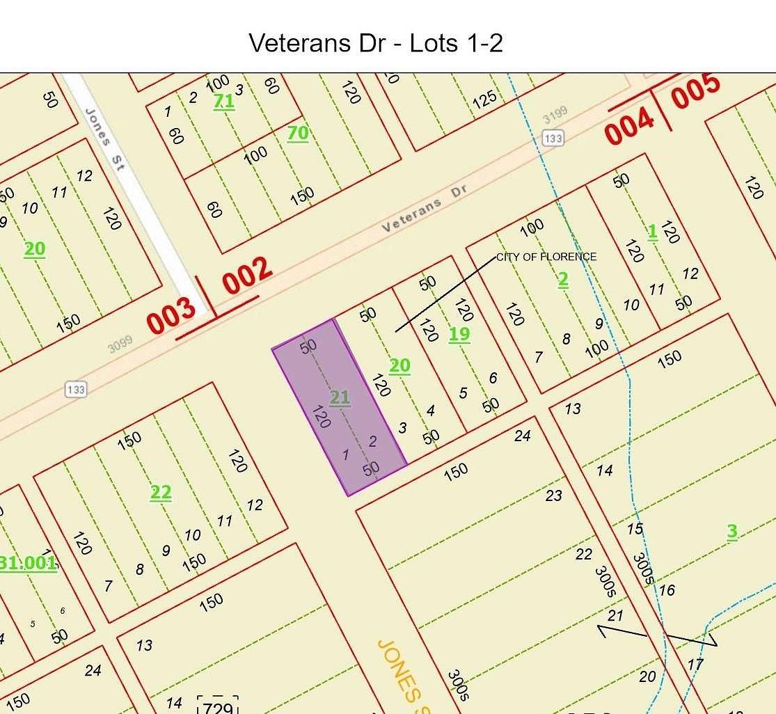 0.14 Acres of Residential Land for Sale in Florence, Alabama