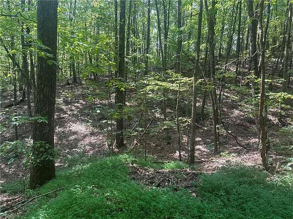 1.1 Acres of Residential Land for Sale in Jasper, Georgia