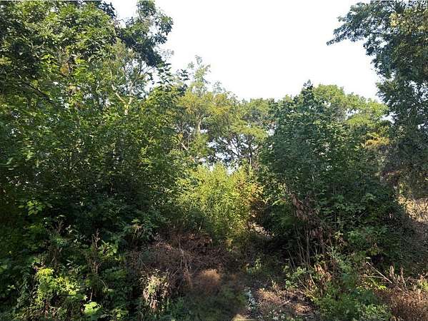 0.21 Acres of Residential Land for Sale in Wonder Lake, Illinois