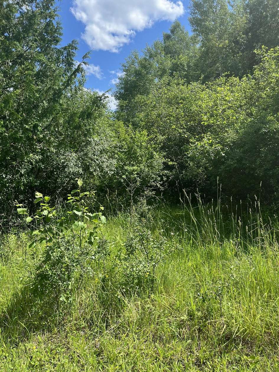 1.8 Acres of Residential Land for Sale in Onaway, Michigan