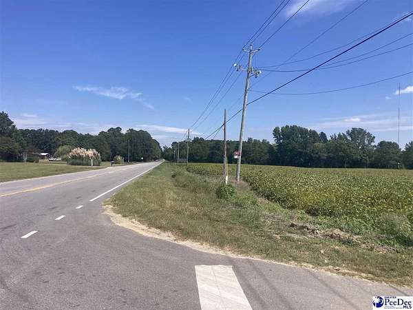 7 Acres of Residential Land for Sale in Hamer, South Carolina