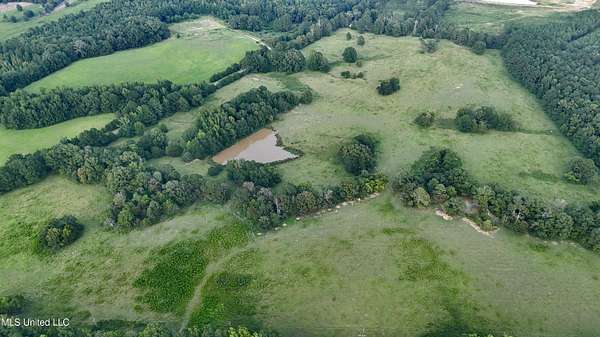87.5 Acres of Recreational Land & Farm for Sale in Canton, Mississippi