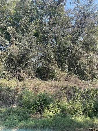 1 Acre of Residential Land for Sale in Leesburg, Texas