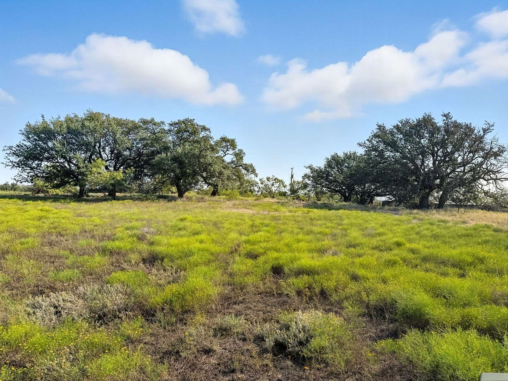 44.8 Acres of Recreational & Residential Land for Sale in Pottsville, Texas
