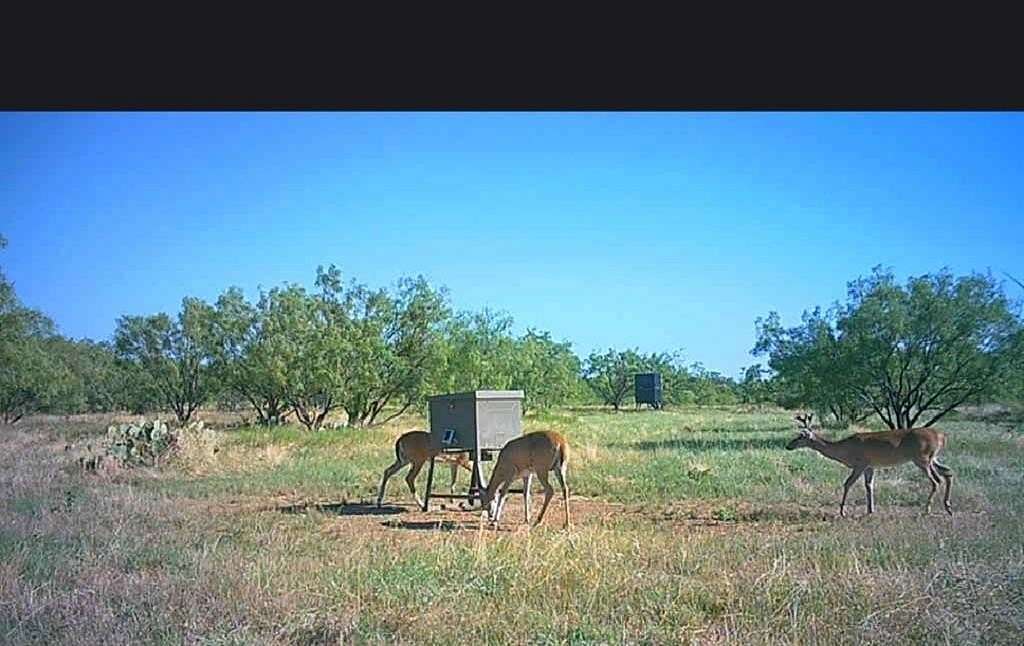 40.7 Acres of Land for Sale in Cisco, Texas