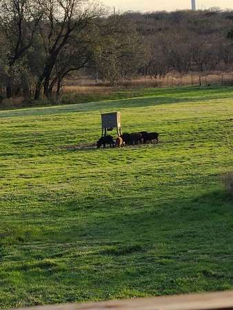 40.7 Acres of Land for Sale in Cisco, Texas