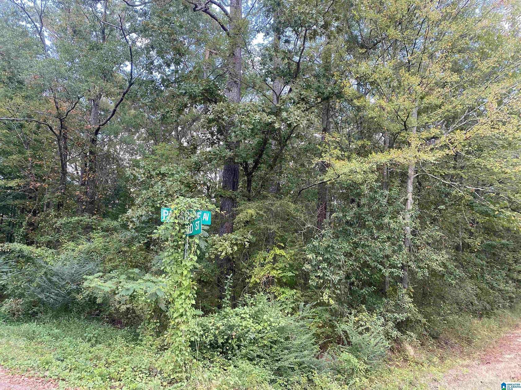 0.6 Acres of Land for Sale in Gadsden, Alabama