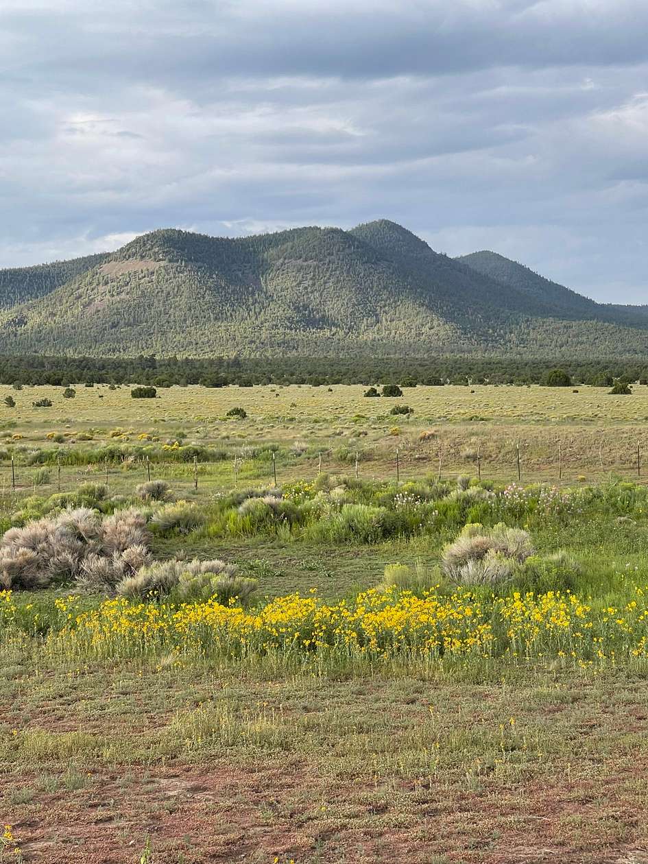 1,244 Acres of Recreational Land with Home for Sale in Datil, New Mexico