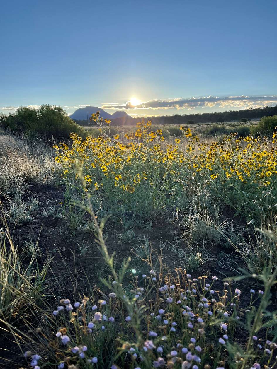 104 Acres of Recreational Land with Home for Sale in Datil, New Mexico