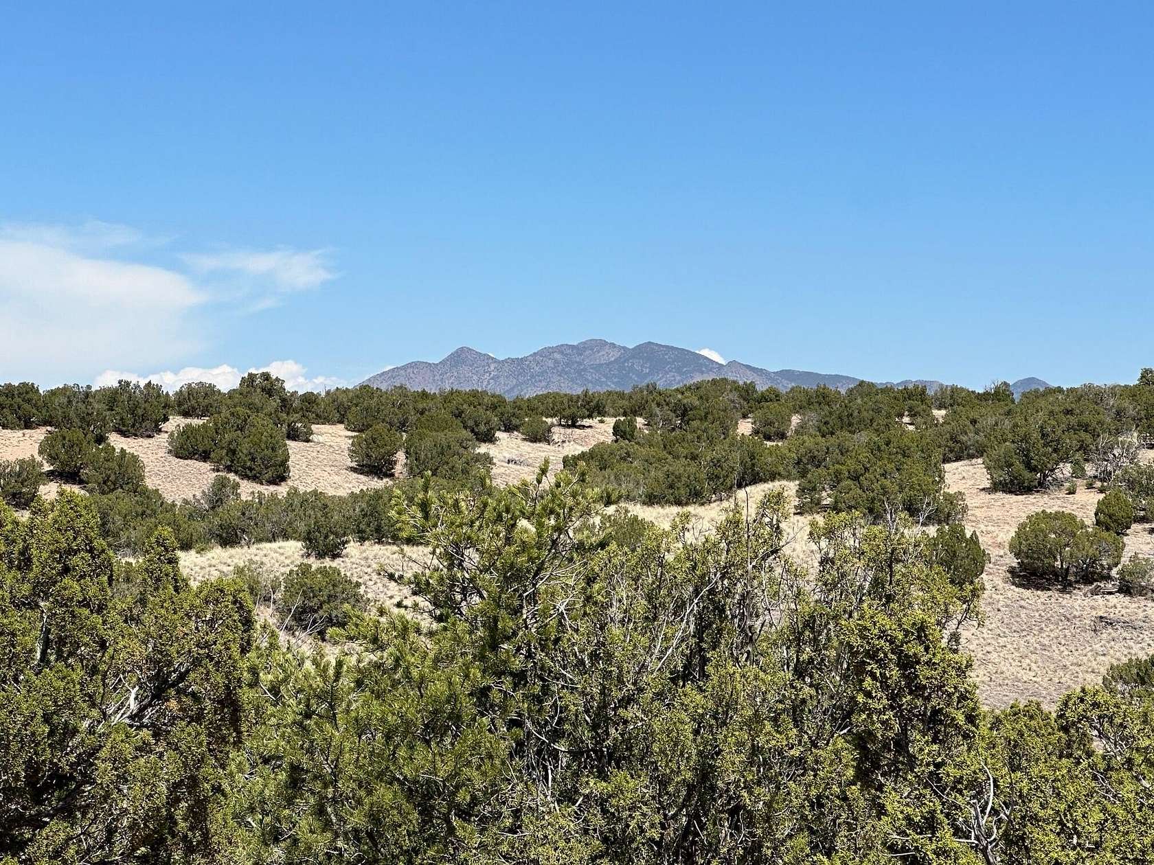 3 Acres of Land for Sale in Sandia Park, New Mexico
