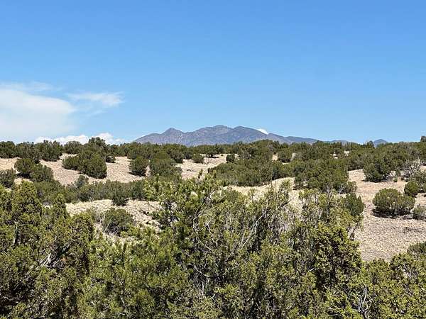 3 Acres of Land for Sale in Sandia Park, New Mexico