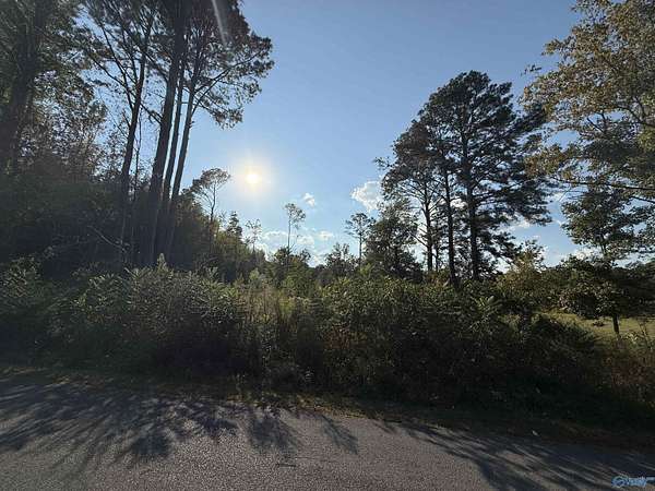1.46 Acres of Residential Land for Sale in Altoona, Alabama