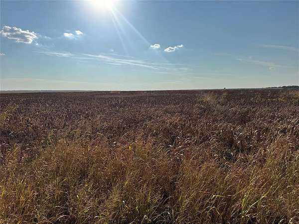 80 Acres of Agricultural Land for Sale in Carter, Oklahoma