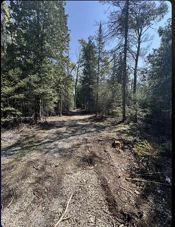 0.2 Acres of Residential Land for Sale in Bois Blanc Township, Michigan