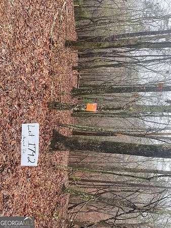 0.59 Acres of Residential Land for Sale in East Ellijay, Georgia