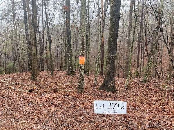 0.59 Acres of Residential Land for Sale in East Ellijay, Georgia