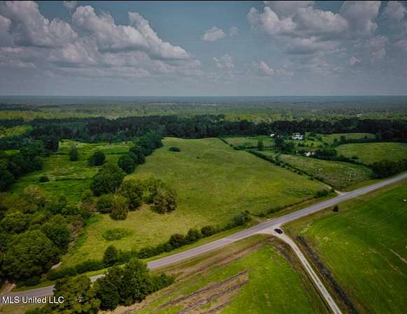 16.1 Acres of Agricultural Land for Sale in Lumberton, Mississippi