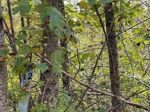 6.89 Acres of Residential Land for Sale in Marblehill, Georgia