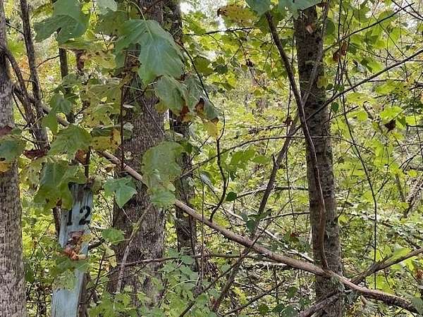 6.89 Acres of Residential Land for Sale in Marblehill, Georgia