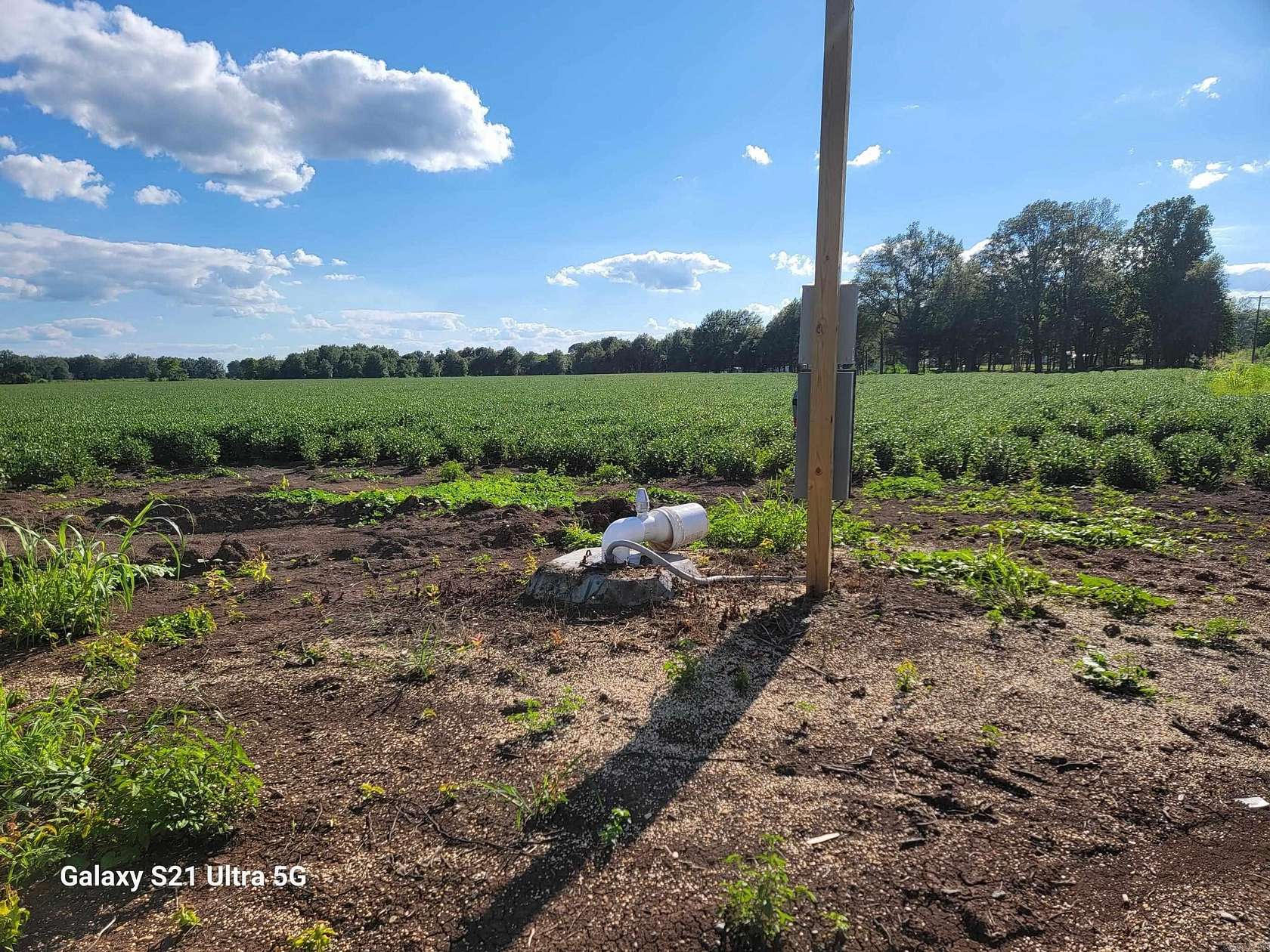 21.7 Acres of Agricultural Land for Sale in McGehee, Arkansas