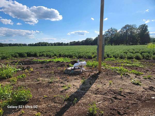 21.7 Acres of Agricultural Land for Sale in McGehee, Arkansas