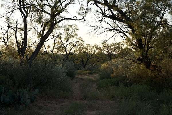 125 Acres of Recreational Land & Farm for Sale in Rochelle, Texas