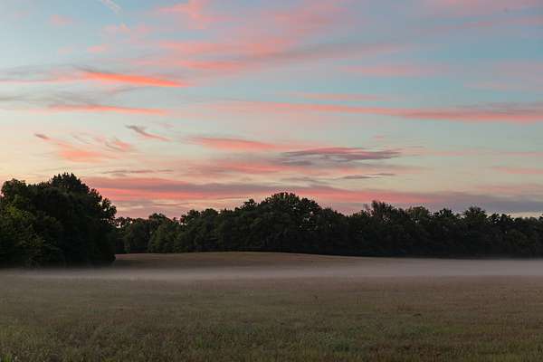 50 Acres of Agricultural Land for Sale in Franklin, Tennessee