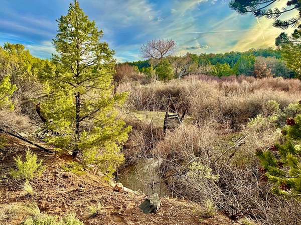 40 Acres of Recreational Land for Sale in Glade Park, Colorado