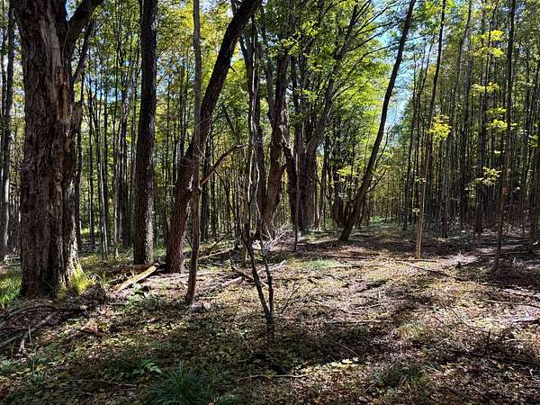 5 Acres of Residential Land for Sale in Otselic, New York