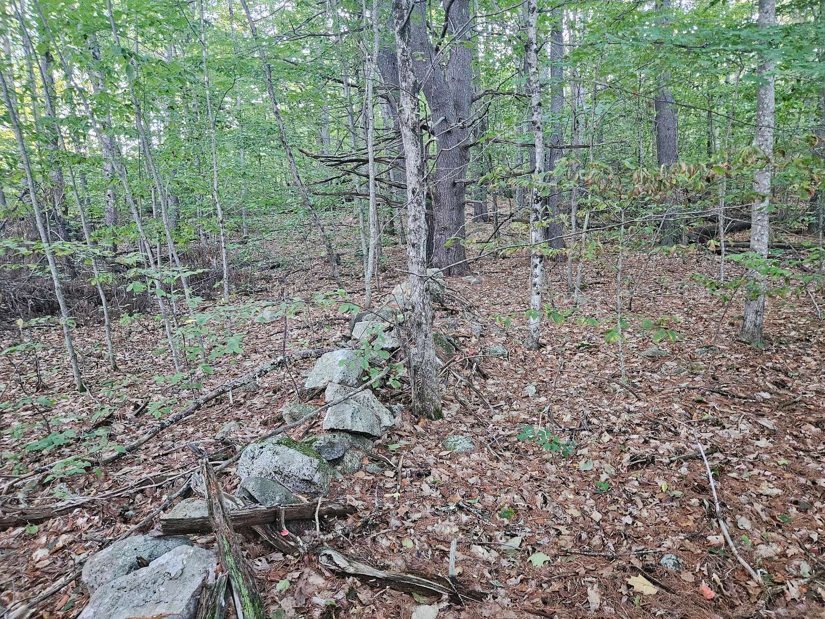 40 Acres of Land for Sale in Raymond, Maine