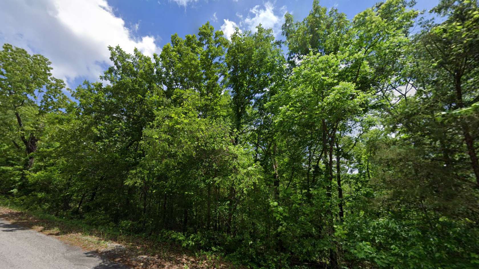 0.34 Acres of Residential Land for Sale in Melbourne, Arkansas