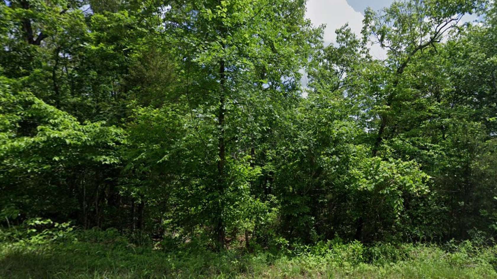 0.34 Acres of Residential Land for Sale in Melbourne, Arkansas