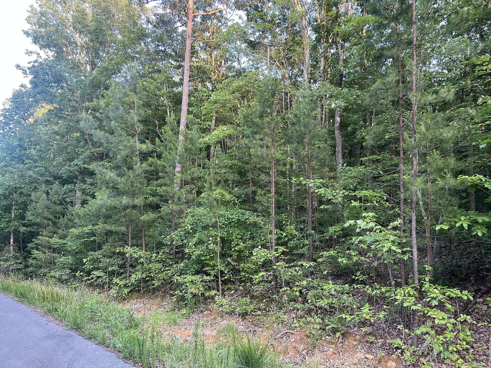 6.34 Acres of Residential Land for Sale in South Pittsburg, Tennessee