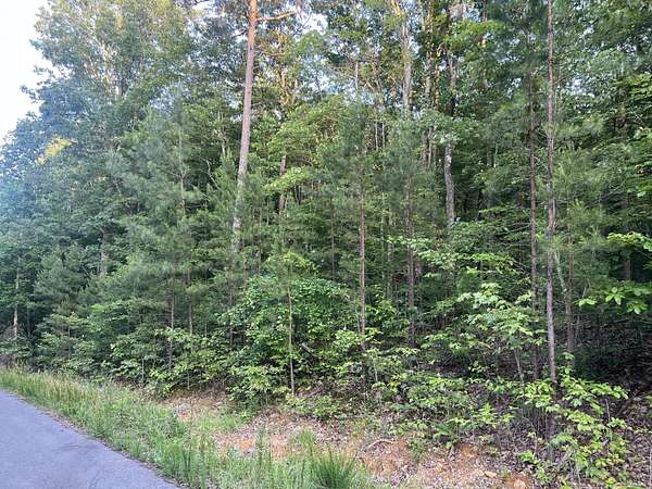 6.34 Acres of Residential Land for Sale in South Pittsburg, Tennessee