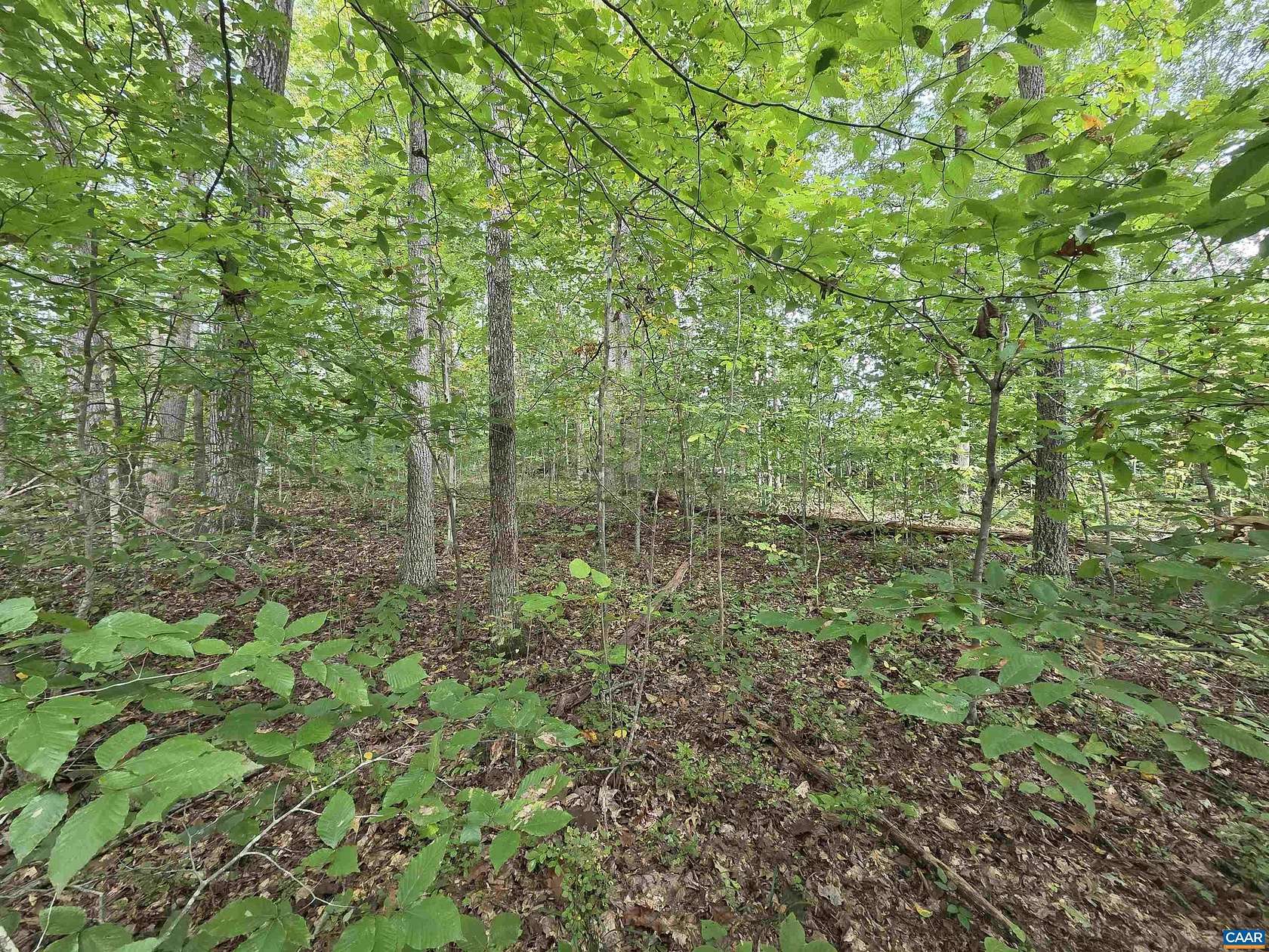 0.42 Acres of Residential Land for Sale in Louisa, Virginia