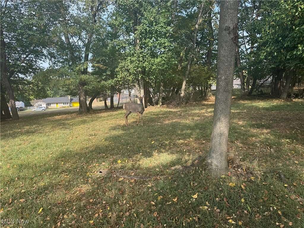 0.44 Acres of Residential Land for Sale in Zanesville, Ohio