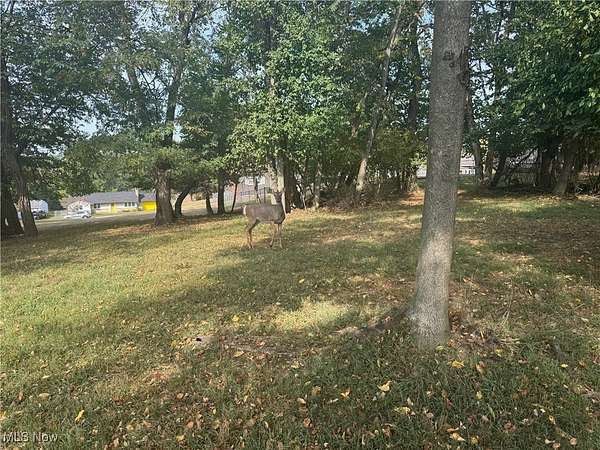 0.44 Acres of Residential Land for Sale in Zanesville, Ohio