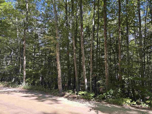 12.6 Acres of Land for Sale in Strafford, New Hampshire