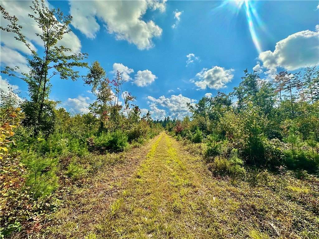 42 Acres of Recreational Land for Sale in Neillsville, Wisconsin