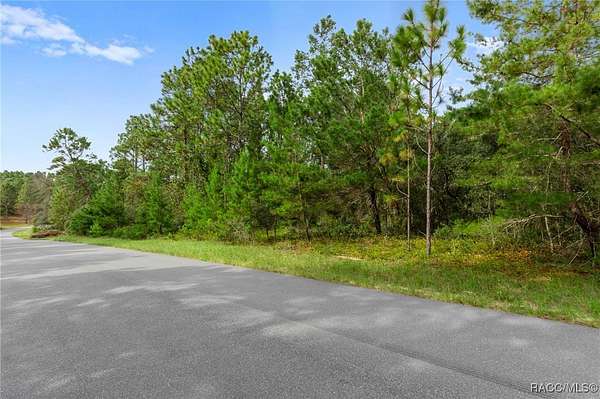 1.12 Acres of Land for Sale in Citrus Springs, Florida